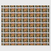 Kitty "CUTENESS OVERLOAD" Packpapier (Flach)