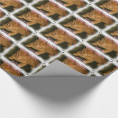 Kitty "CUTENESS OVERLOAD" Packpapier (Ecke)