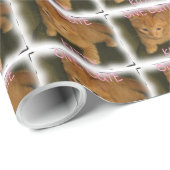 Kitty "CUTENESS OVERLOAD" Packpapier (Rolleneckpunkt)