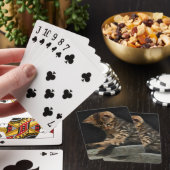 Kitty, der mit dem Schwanz spielt Spielkarten (In Situ)
