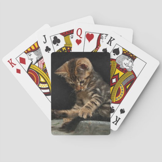 Kitty, der mit dem Schwanz spielt Spielkarten (Rückseite)