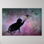 Kitty Dreams Poster (Vorne)