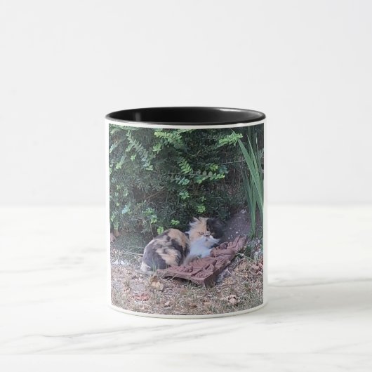 Kitty-Dschungel Tasse (Zentrum)