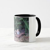 Kitty-Dschungel Tasse (VorderseiteRechts)
