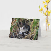 Kitty-Ermutigungs-Karte Karte (Gelbe Blume)