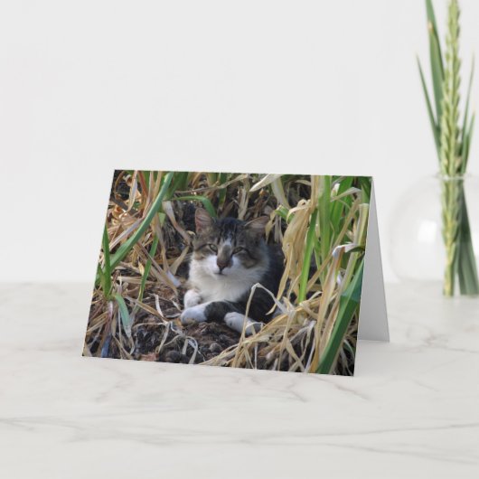 Kitty-Ermutigungs-Karte Karte (Vorderseite)