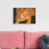 Kitty Foto auf Leinwand (Insitu (Wohnzimmer))