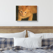Kitty Foto auf Leinwand (Insitu (Schlafzimmer))