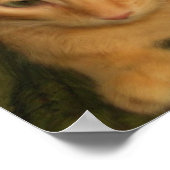 Kitty Foto Print Poster (Ecke)