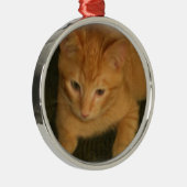 Kitty Fotografy Ornament Aus Metall (Rechts)