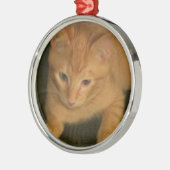 Kitty Fotografy Ornament Aus Metall (Links)