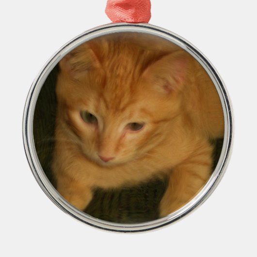 Kitty Fotografy Ornament Aus Metall (Vorne)