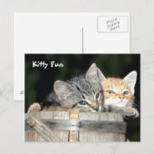 Kitty Fun Postkarte (Vorne/Hinten)