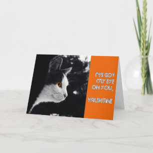 Kitty got sein Auge auf dich modernes Valentin Feiertagskarte