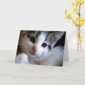 Kitty Greeting Card Karte (Gelbe Blume)