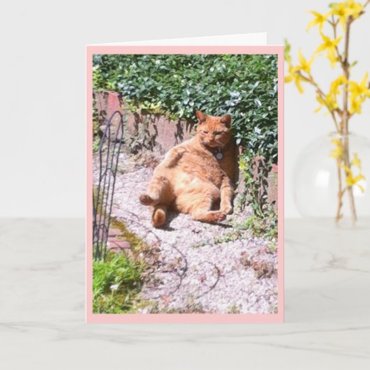 Kitty Gruß Karte (Gelbe Blume)