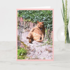 Kitty Gruß Karte