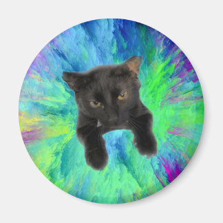 Kitty hält Papiere für den Kühlschrank Magnet