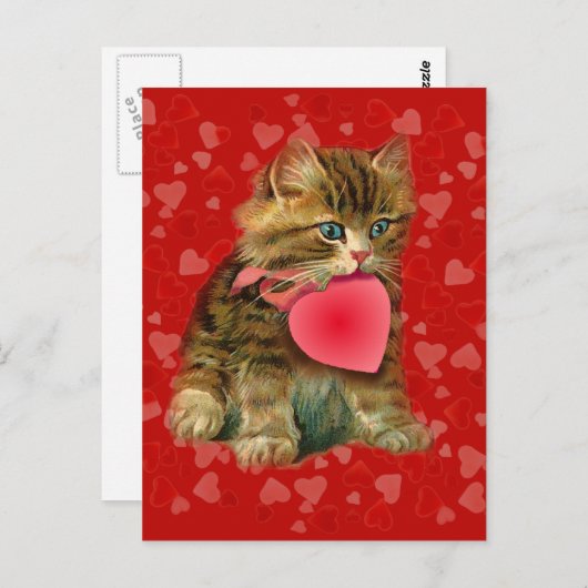 KITTY, & HERZEN VON SHARON SHARPE POSTKARTE (Vorne/Hinten)