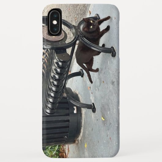 Kitty im Park Case-Mate iPhone Hülle (Rückseite)