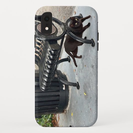 Kitty im Park Case-Mate iPhone Hülle (Rückseite)