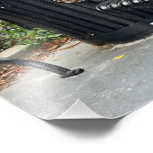 Kitty im Park Fotodruck (Ecke)