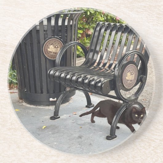 Kitty im Park Getränkeuntersetzer (Vorne)