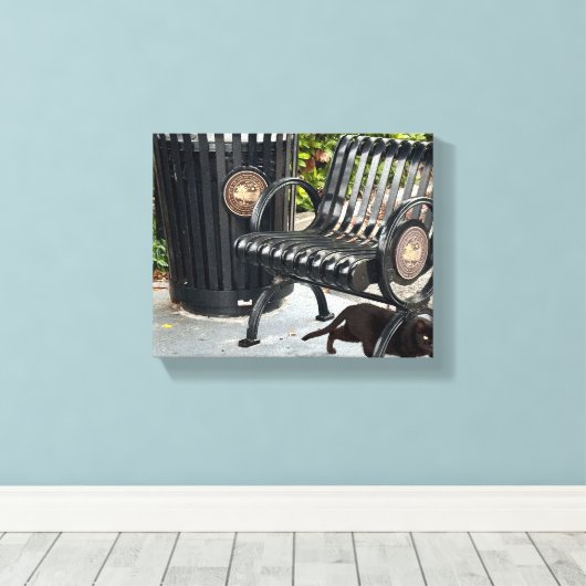 Kitty im Park Leinwanddruck (Insitu (Holzboden))