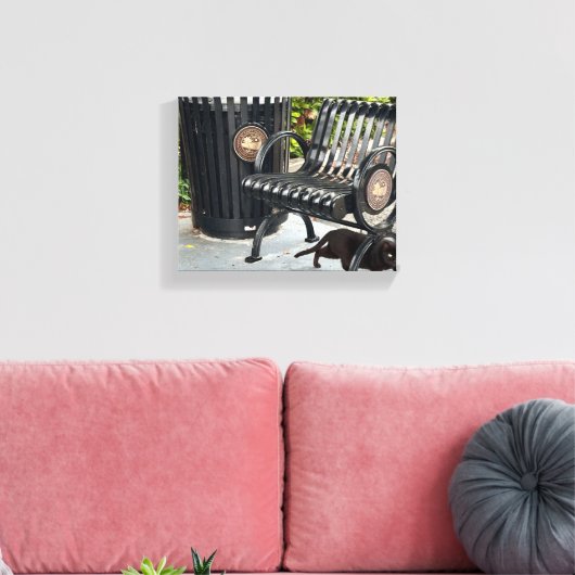 Kitty im Park Leinwanddruck (Insitu (Wohnzimmer))