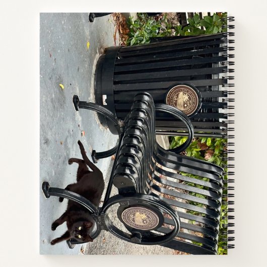 Kitty im Park Notizblock (Rückseite)