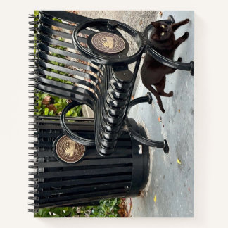 Kitty im Park Notizblock