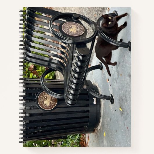 Kitty im Park Notizblock (Vorderseite)