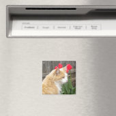 Kitty im Tulips-Magneten Magnet (In Situ (Geschirrspüler))