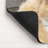 Kitty im Tulips Mouse-Pad Mousepad (Ecke)