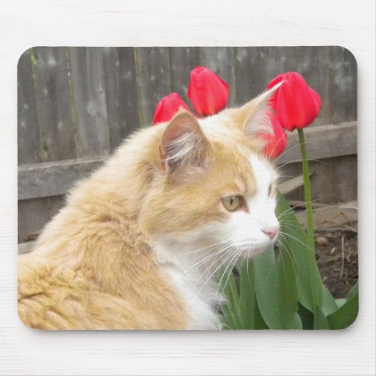 Kitty im Tulips Mouse-Pad Mousepad (Vorne)