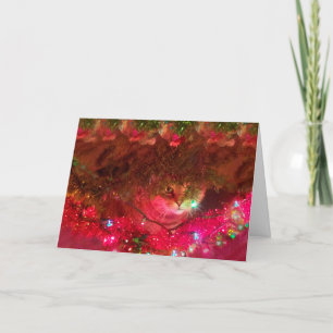 Kitty im Weihnachtsbaum Feiertagskarte