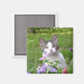 Kitty in der Blume Magnet (Vorderseite/Rückseite)