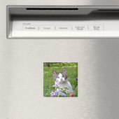 Kitty in der Blume Magnet (In Situ (Geschirrspüler))