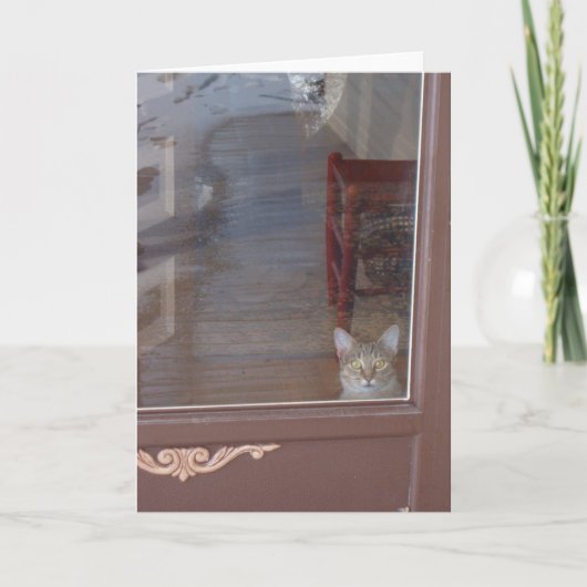 Kitty in der Tür Karte (Vorderseite)