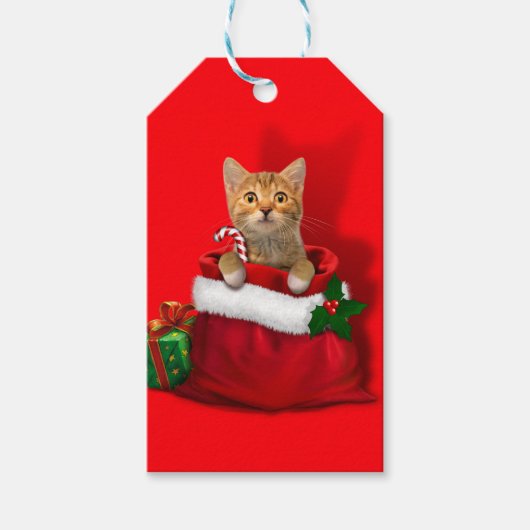 Kitty in einer Weihnachtstasche Geschenkanhänger (Vorderseite)