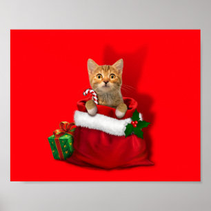 Kitty in einer Weihnachtstasche Poster