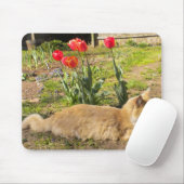 Kitty in Garden Mousepad (Mit Mouse)