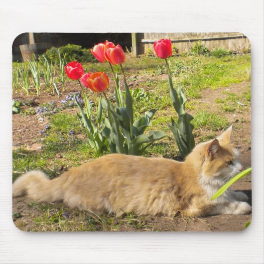 Kitty in Garden Mousepad (Vorne)