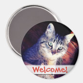 Kitty in the Rafters Nah-up Fotograf Magnet (Vorderseite/Rückseite)