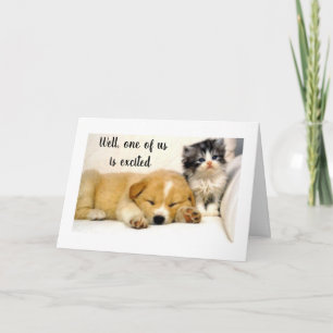 **KITTY** IST FÜR SIE ERWARTET **80. GEBURTSTAG* KARTE