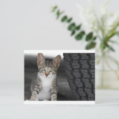 Kitty.JPG Postkarte (Stehend Vorderseite)