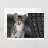 Kitty.JPG Postkarte (Vorne/Hinten)