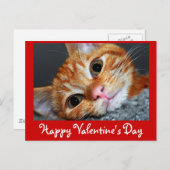 Kitty Kat Feiertagspostkarte (Vorne/Hinten)