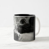 Kitty-Katzen-Foto Zweifarbige Tasse (VorderseiteRechts)