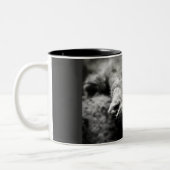 Kitty-Katzen-Foto Zweifarbige Tasse (Links)